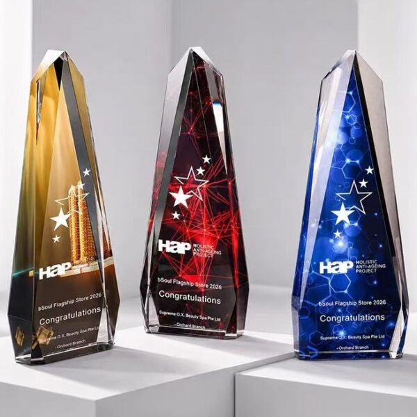 Crystal Trophy B513