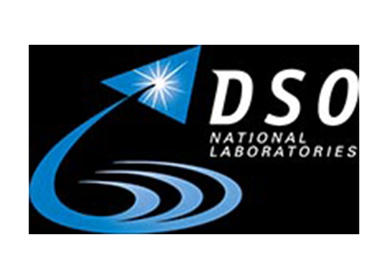 ML Art Collection - DSO